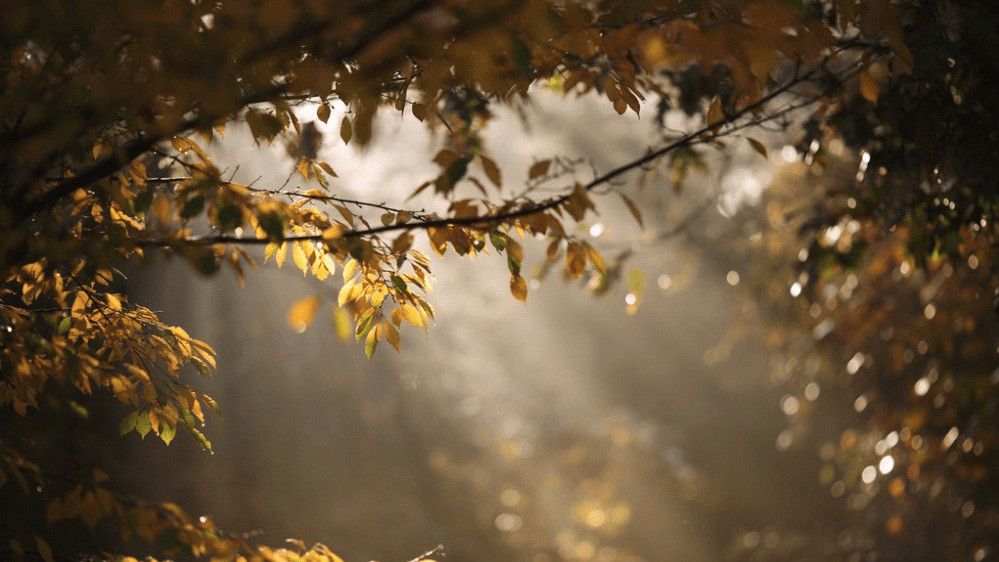 Фото Tammy Schild