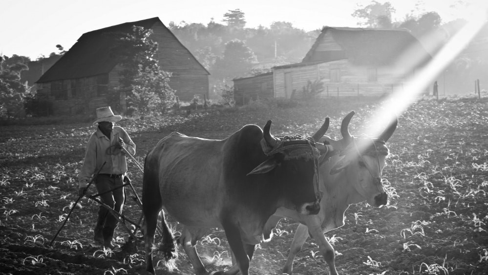 Фото Theodor Hensolt