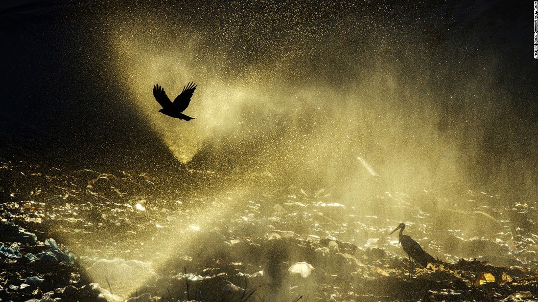 Фото Jasper Doest