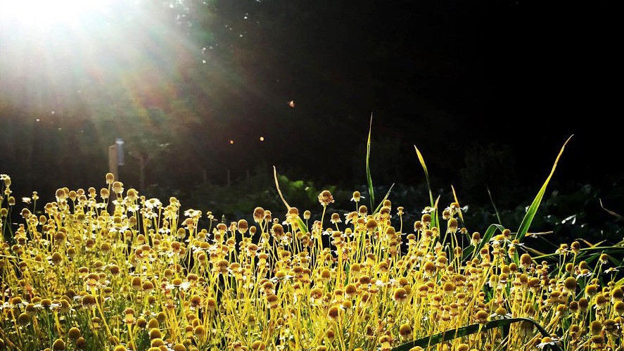 Всі фото зроблені за допомогою IPhone