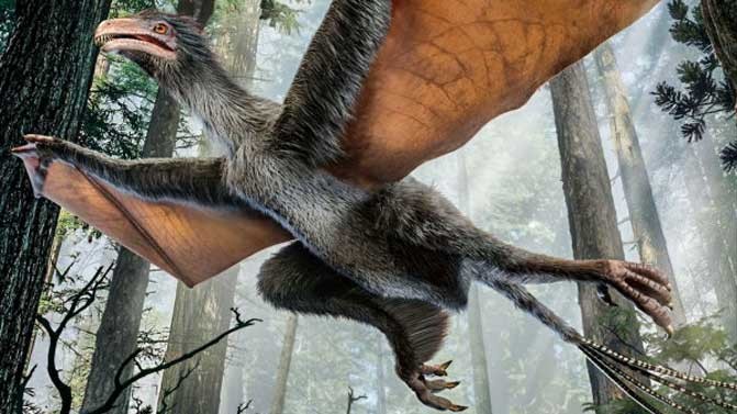 Концепт пернатого динозавра Yi Qi, який жив раніше