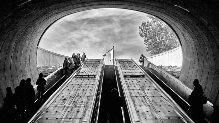 Фото Matt Davies. Червень