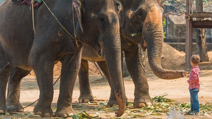 Фото Andrew Swindell. Грудень