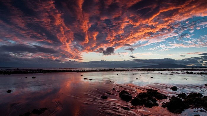 Фото Chris McBain. Серпень