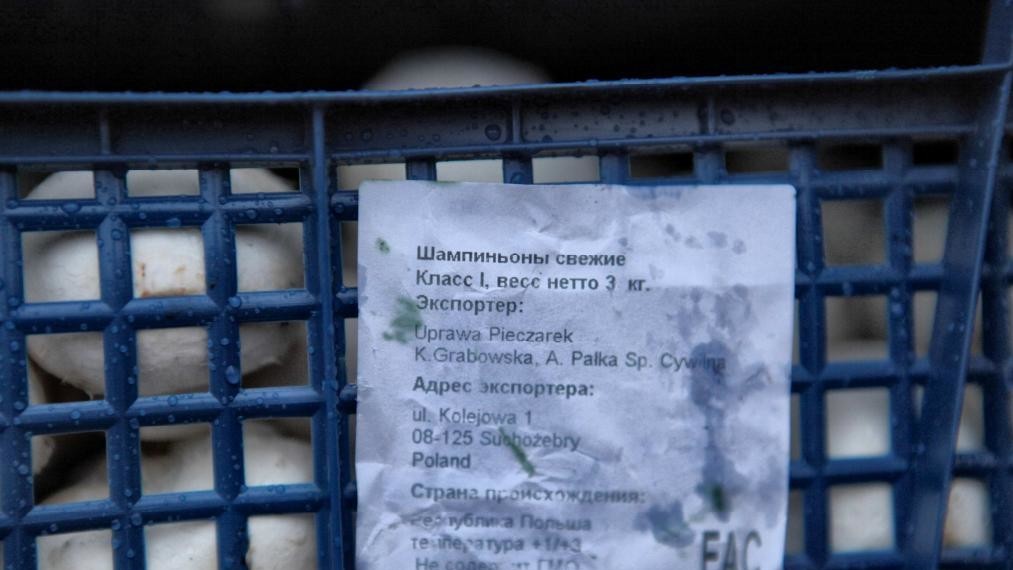 Шампиньоны отправились в утиль