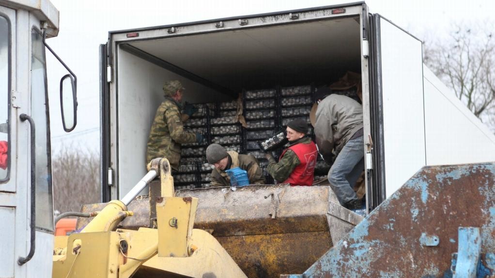 Шампиньоны отправились в утиль