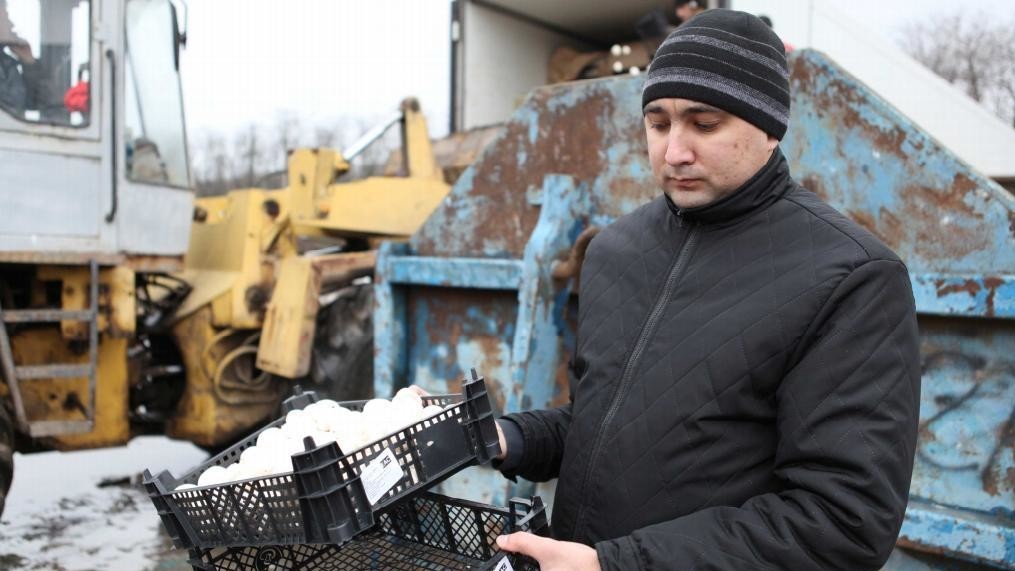 Шампиньоны отправились в утиль