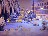Сніг в Батумі