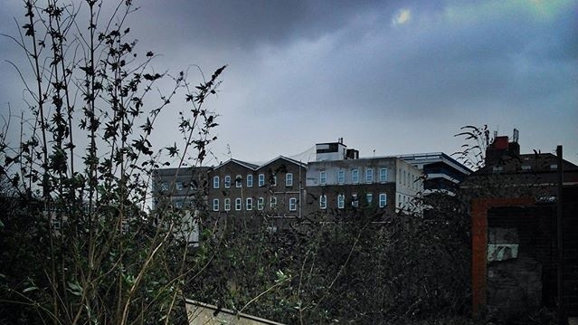 Шторм Імоджен завдав чимало збитків