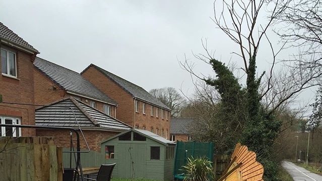 Шторм Імоджен завдав чимало збитків