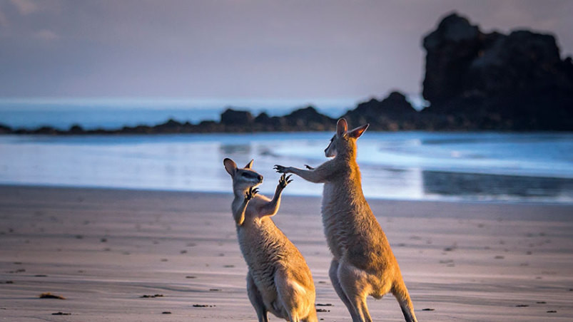 Фото Judith Conning