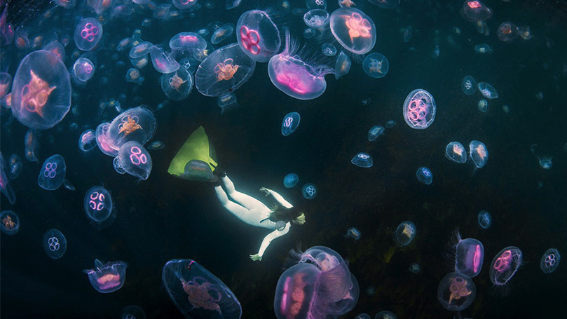 Фото George Karbus