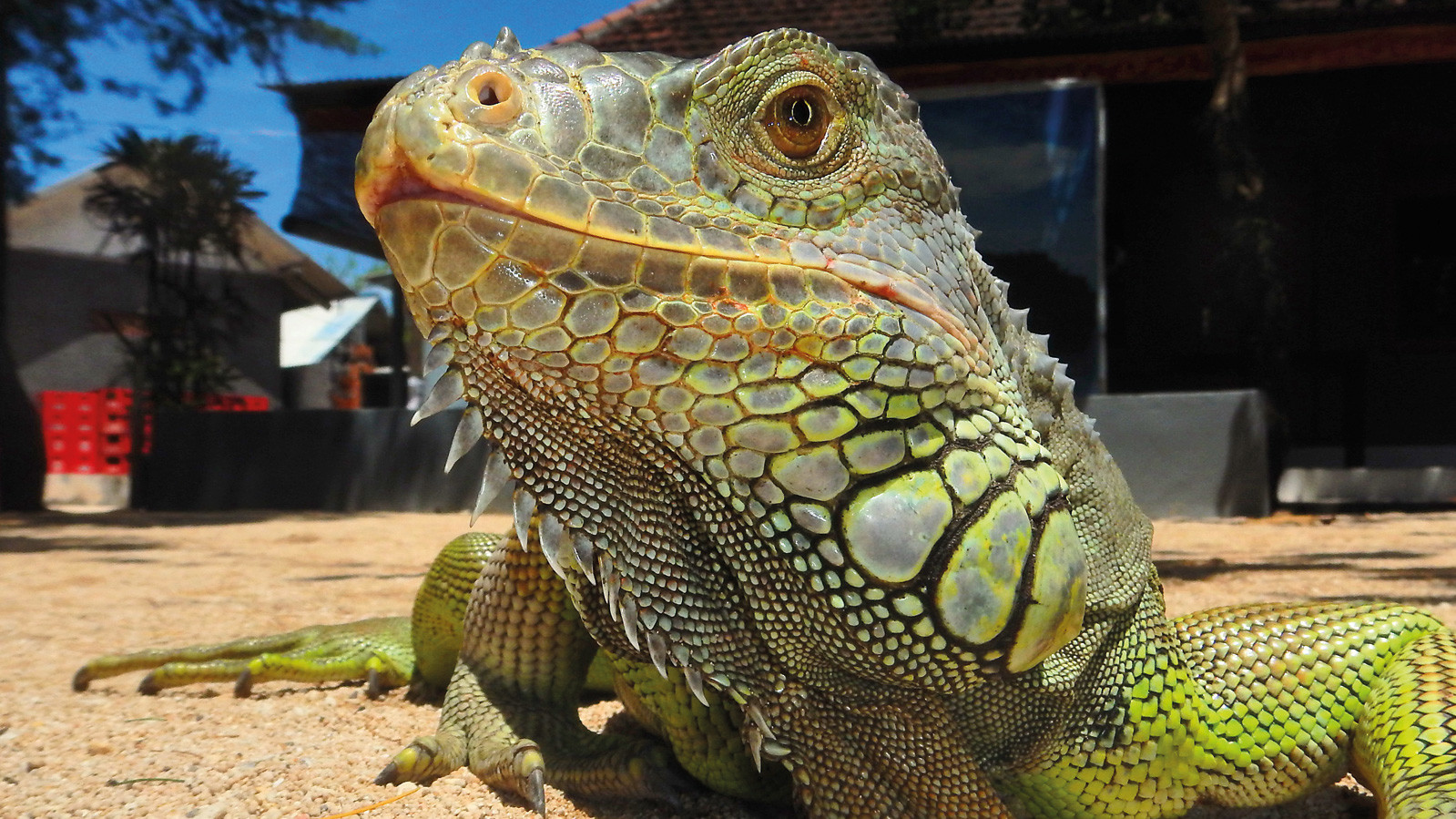 Фото Julij Kopilović, 8 лет