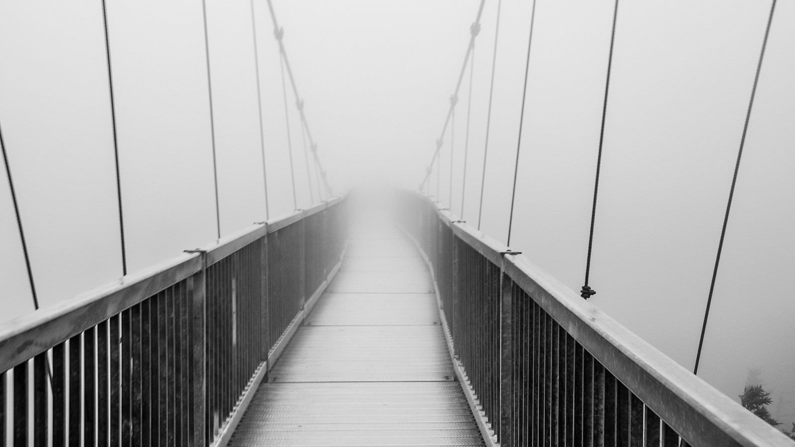 Фото Logan Wagner, 12 лет