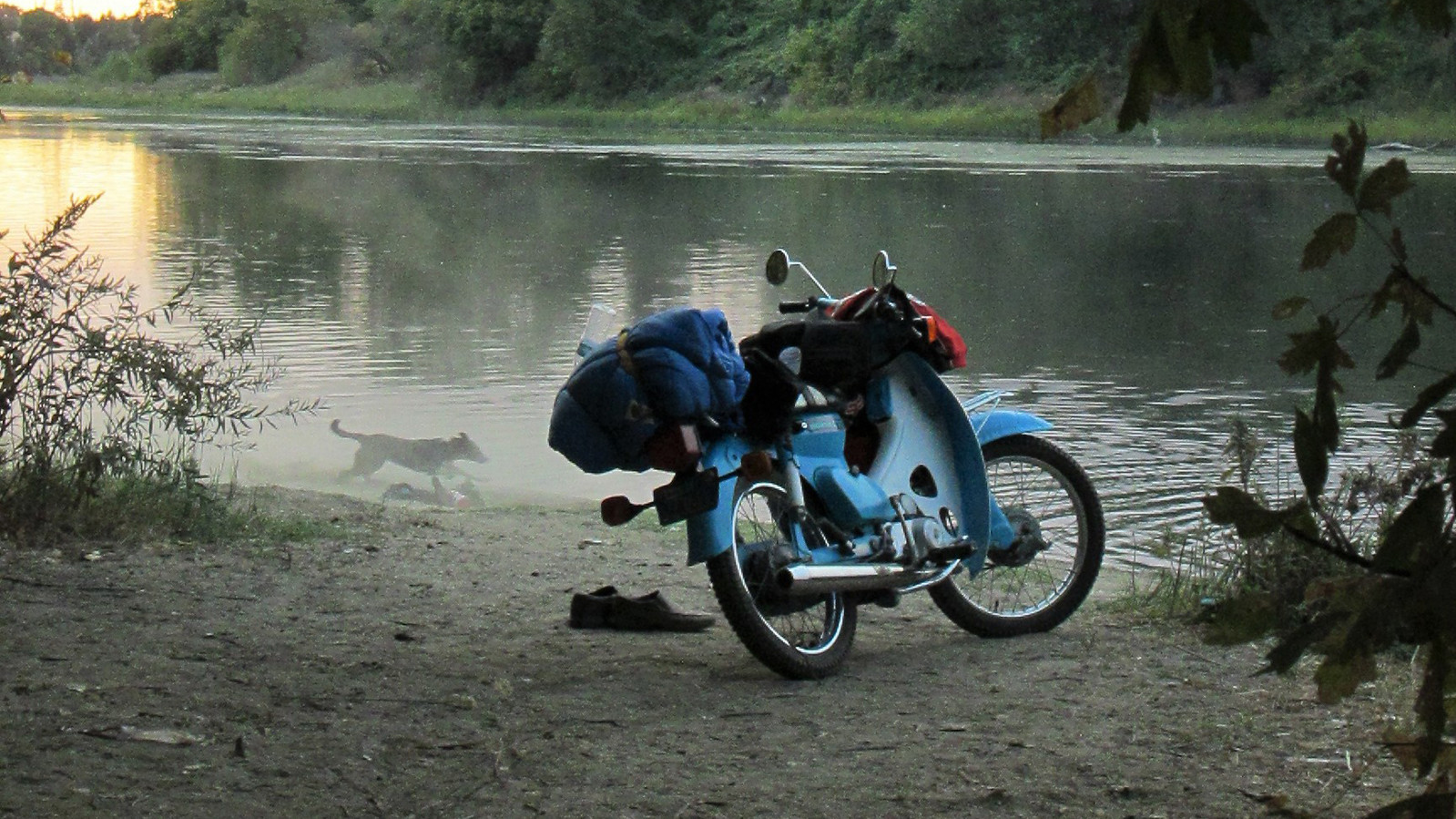 Фото Emily Crofoot, 12 лет