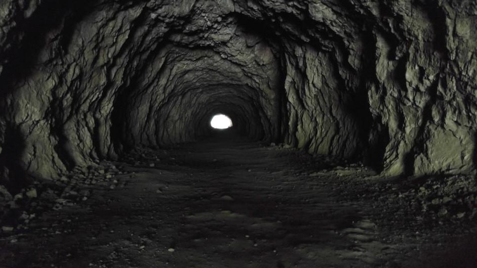 Radostina Georgieva Todorova, 8 лет