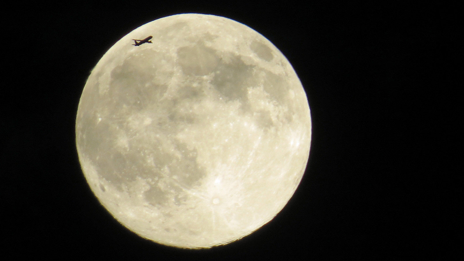 Фото Madison Raymo, 13 лет