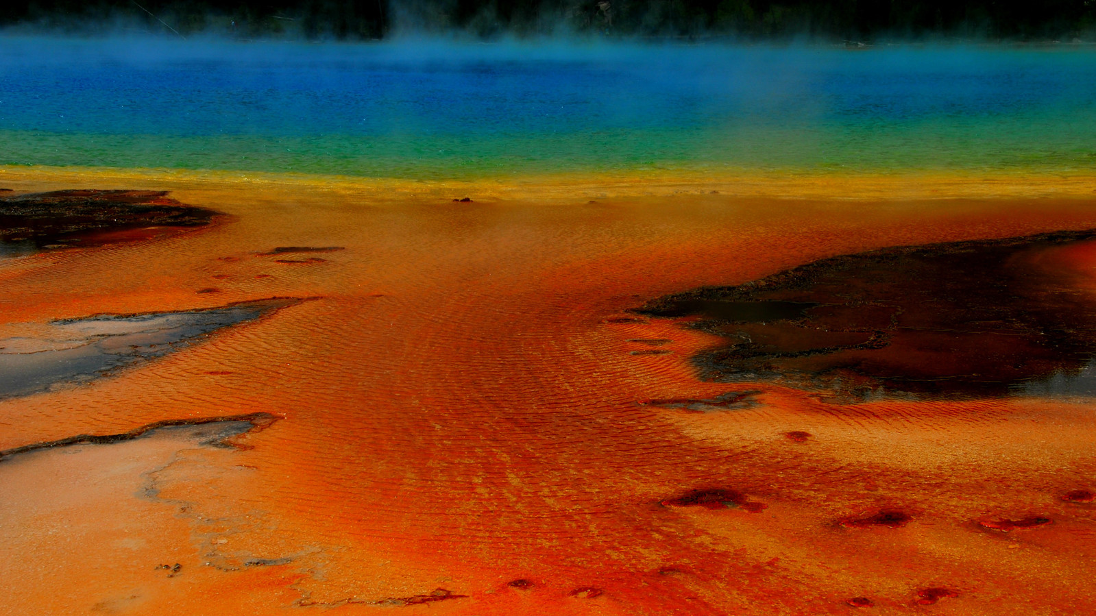 Фото Chase Rodi, 13 лет