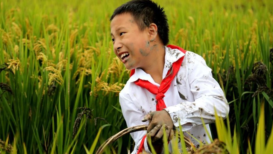 Фото Zhixuan Wu, 12 лет