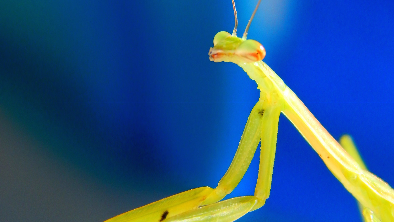 Фото Anna H., 12 лет