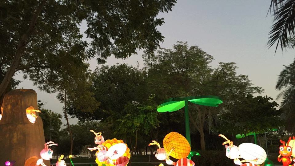 Dubai Garden Glow дуже популярний у фотографів