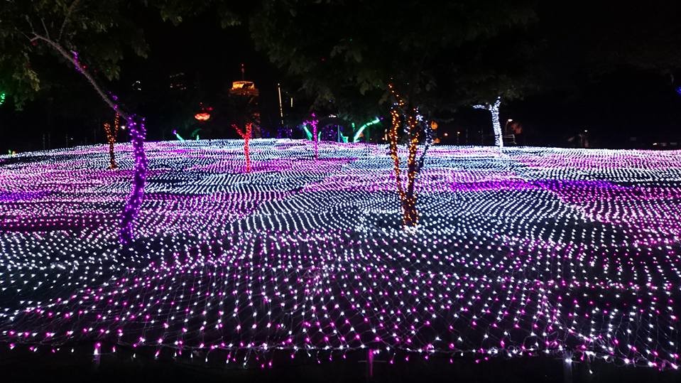 Dubai Garden Glow дуже популярний у фотографів