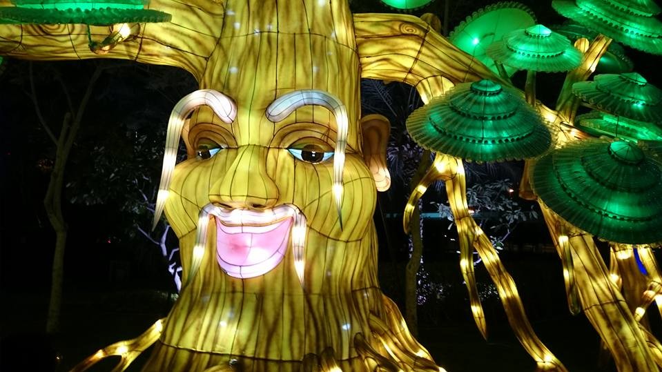 Dubai Garden Glow дуже популярний у фотографів