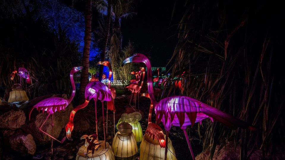 Dubai Garden Glow дуже популярний у фотографів