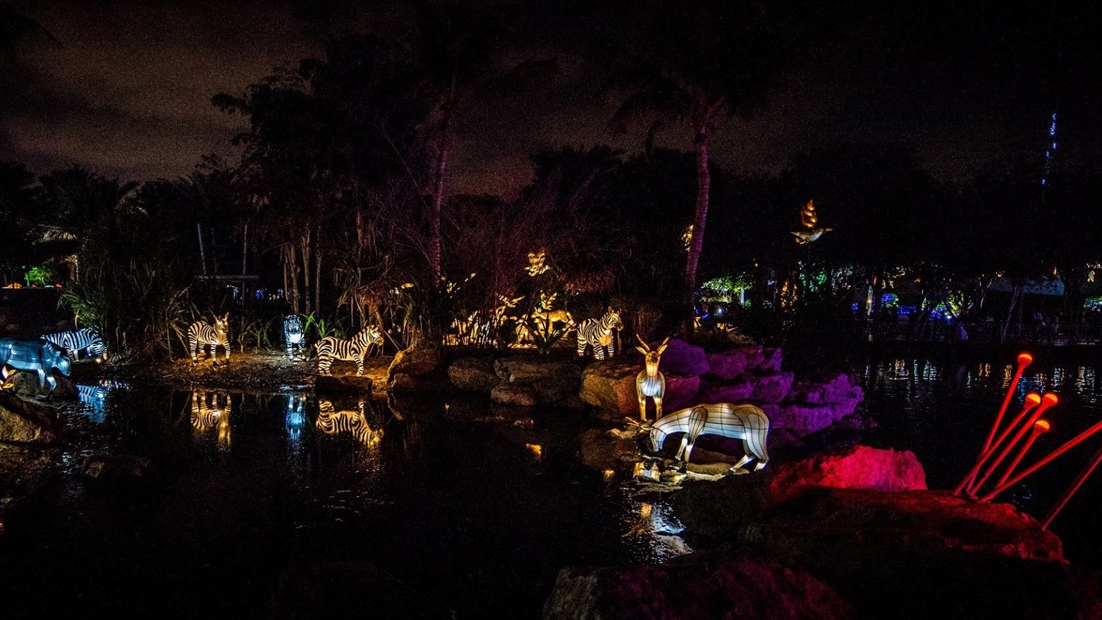 Dubai Garden Glow дуже популярний у фотографів