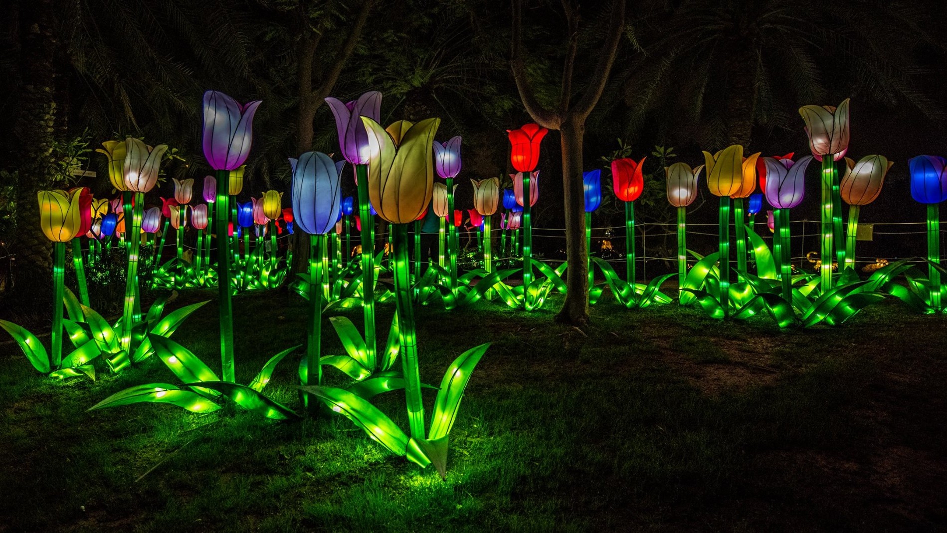 Dubai Garden Glow дуже популярний у фотографів