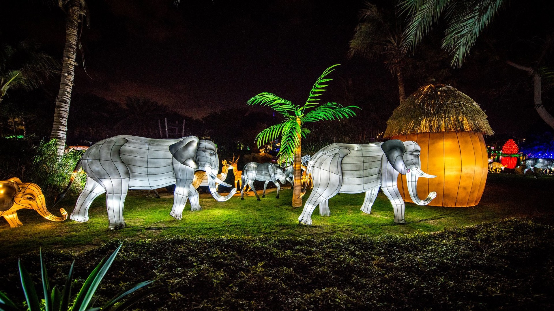 Dubai Garden Glow дуже популярний у фотографів