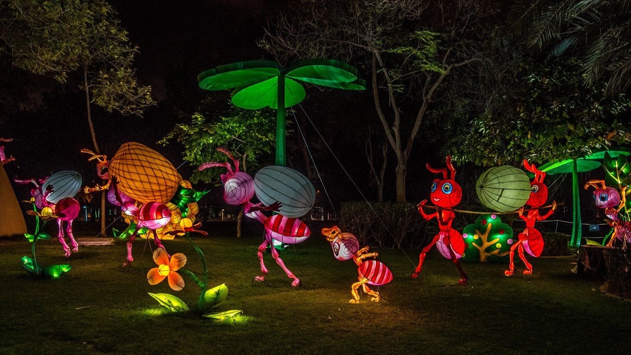 Dubai Garden Glow дуже популярний у фотографів