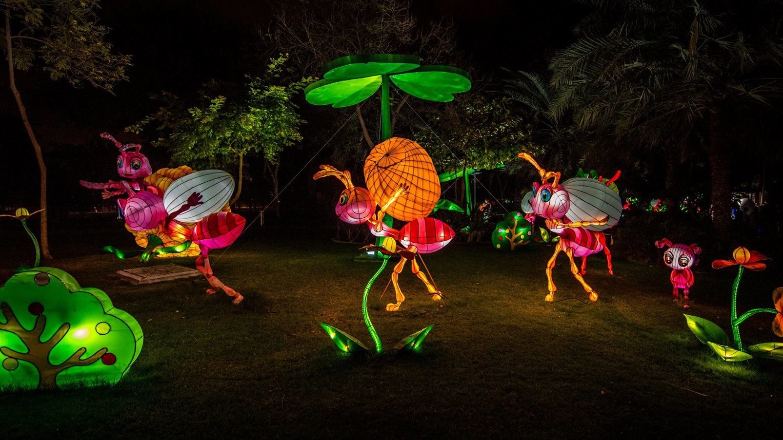 Dubai Garden Glow дуже популярний у фотографів