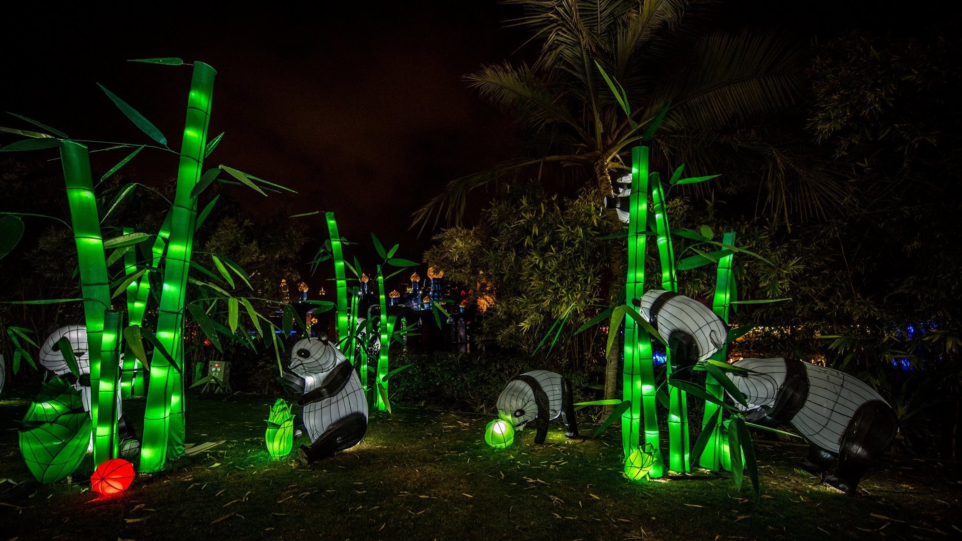 Dubai Garden Glow дуже популярний у фотографів