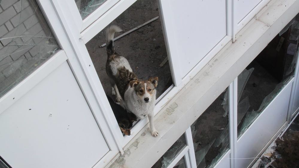 Широкино находится под контролем ВСУ