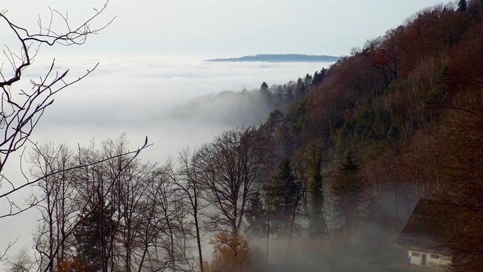 2 місце. Фото crazycity