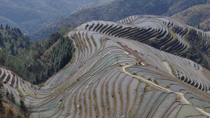 Фото Richard Gibbs