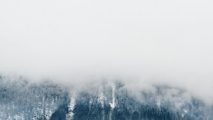 Фото Olly Denton