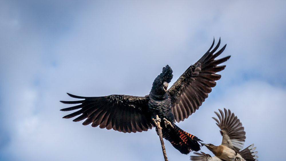 Фото Jim Wilson. Категория "Природа"