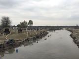 Участок у берегов реки Веселухи полностью оккупирован участниками нелегальной добычи янтаря