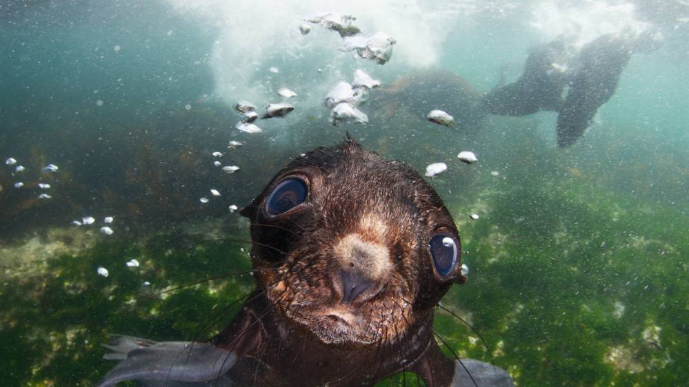 Росія. Андрій Нарчук