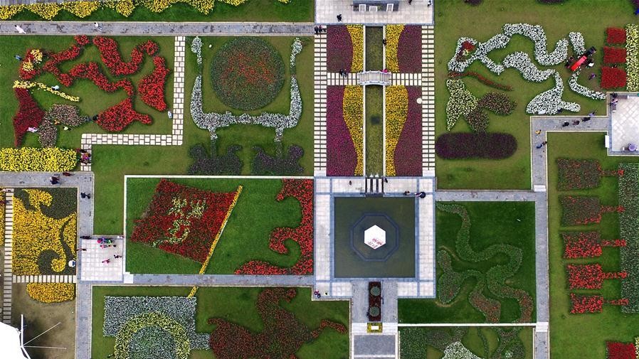 Тюльпановые поля в Китае