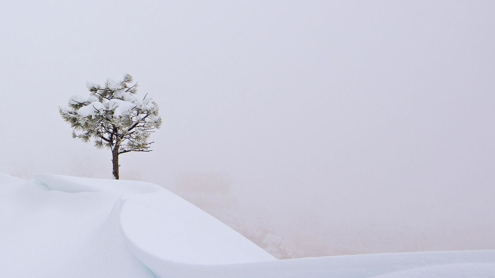 Фото: Yvonne Baur