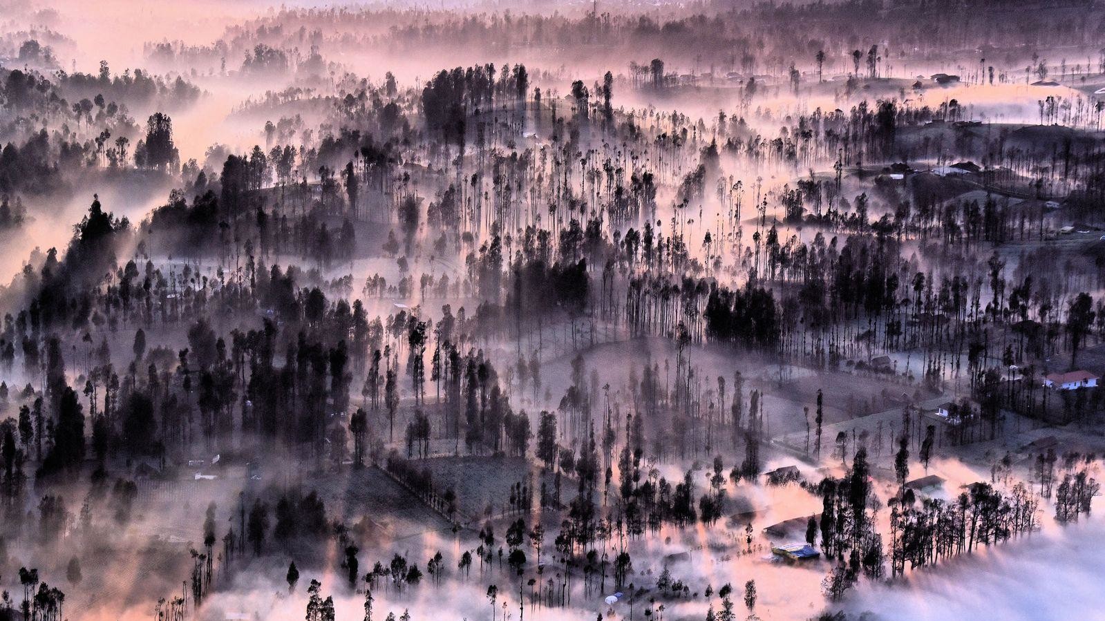 Фото:  Achmad Sumawijaya