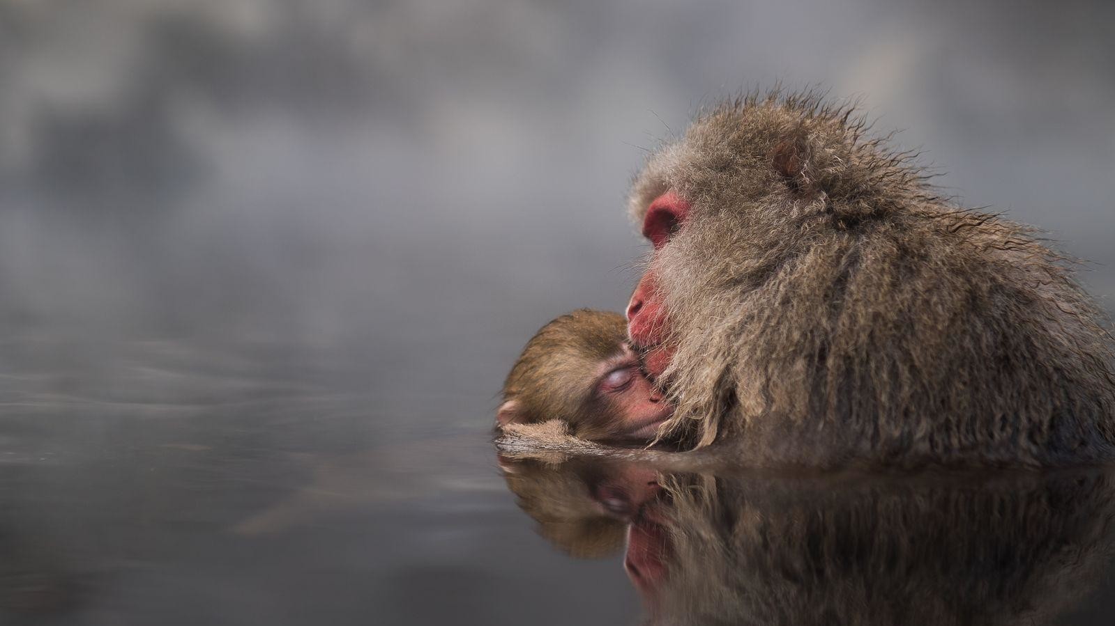 Фото:  Takeshi Marumoto