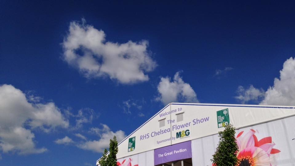 Chelsea Flower Show триватиме з 24 по 28 травня