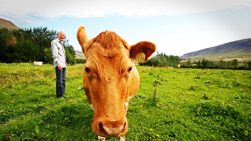 4 місце. Ісландія (82,9)
