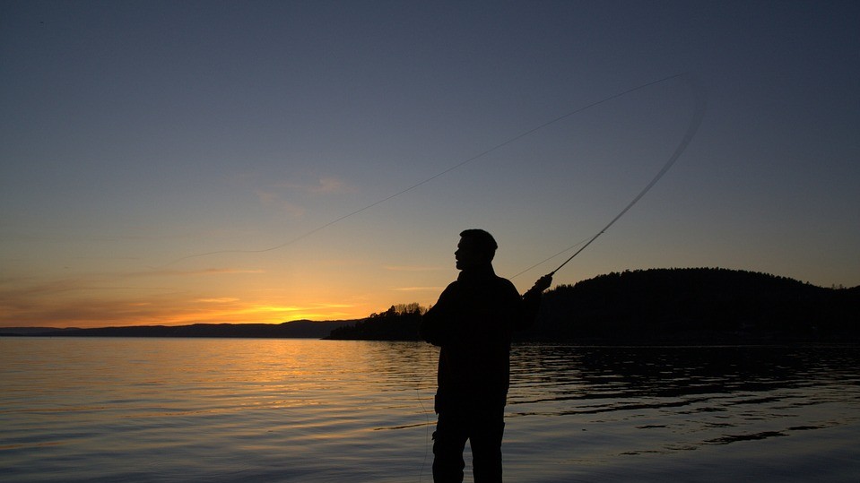 13 місце. Норвегія (81.5)