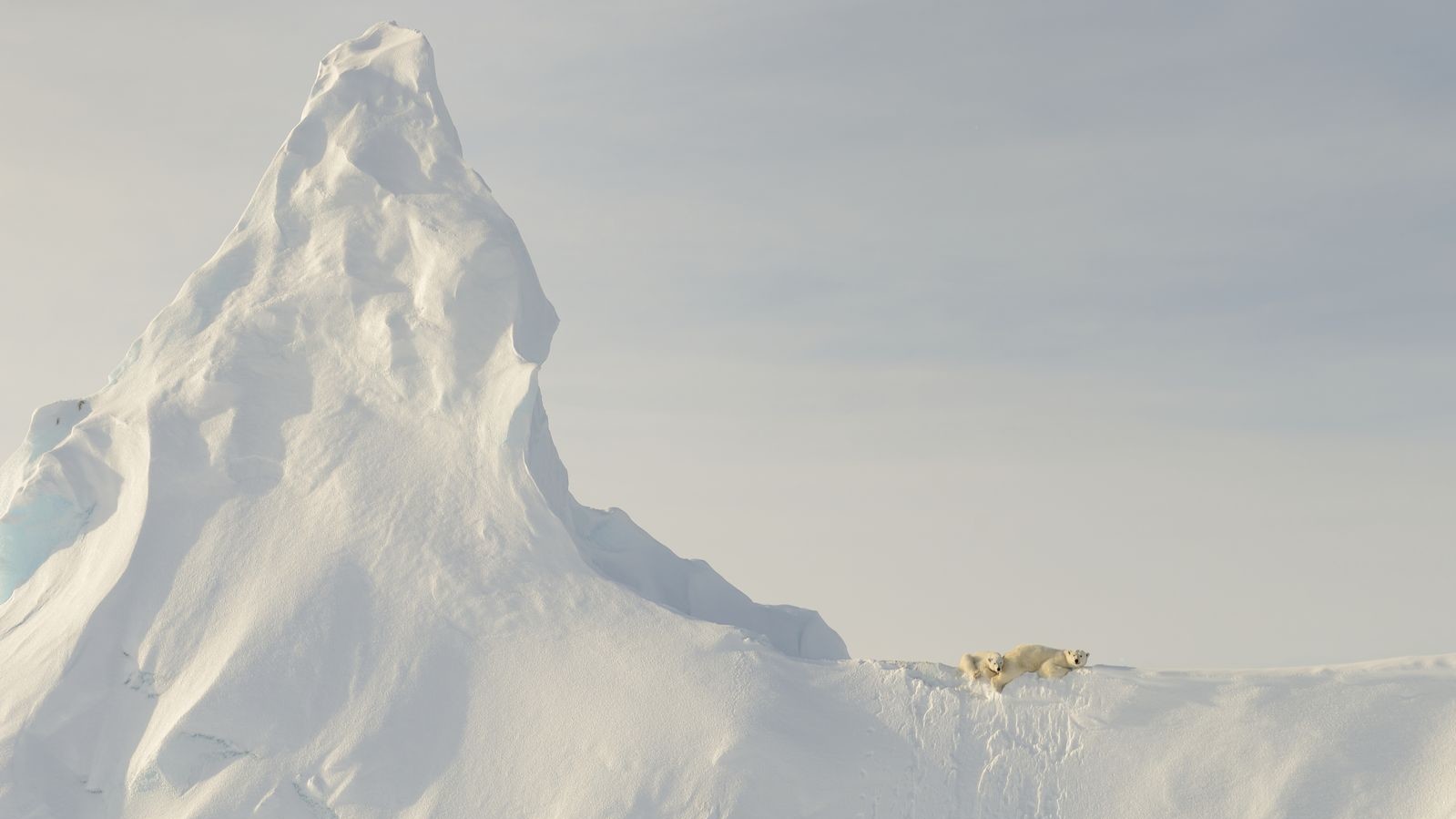 Поощрительная отметка в категории "Природа". Фото John Rollins