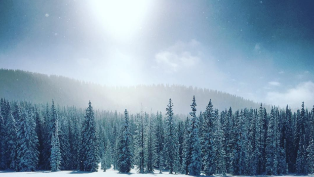 Фото a_bean_dip. Колорадо, США